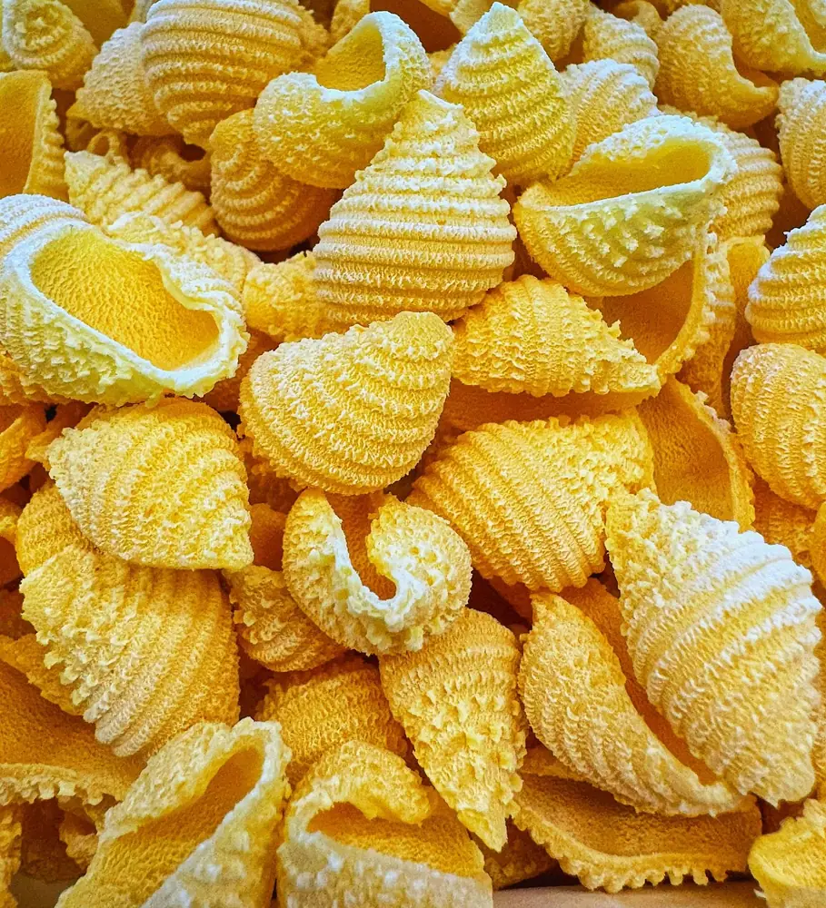 Conchiglie